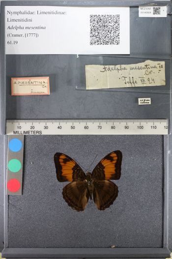 Media type: image;   Entomology 140924